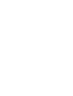 Bird Illustration