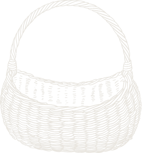 Illustration Basket